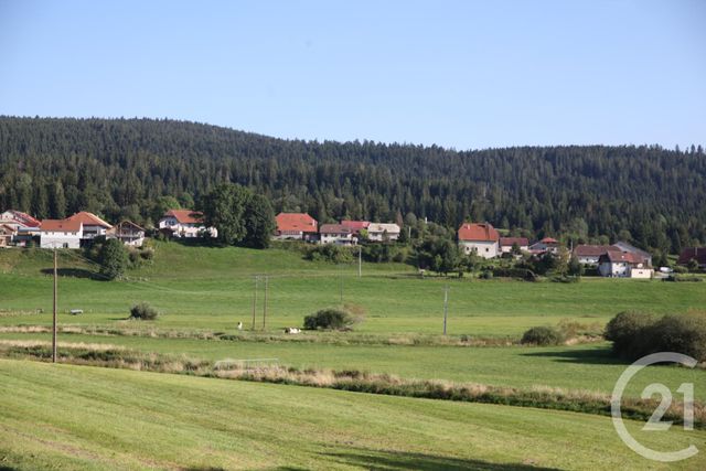 terrain - LES VILLEDIEU - 25