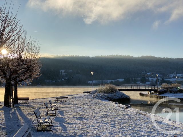 appartement - ST POINT LAC - 25