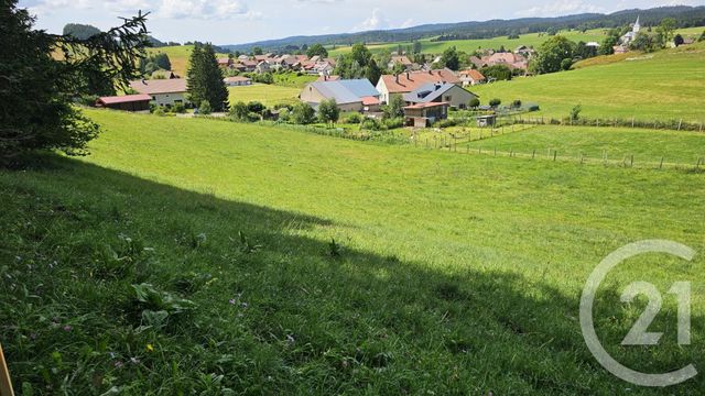 terrain à vendre - 7143.0 m2 - CHAUX NEUVE - 25 - FRANCHE-COMTE - Century 21 Avenir Immobilier