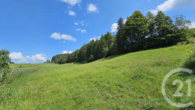 terrain à vendre - 7143.0 m2 - CHAUX NEUVE - 25 - FRANCHE-COMTE - Century 21 Avenir Immobilier