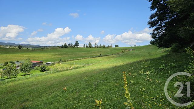 terrain à vendre - 7143.0 m2 - CHAUX NEUVE - 25 - FRANCHE-COMTE - Century 21 Avenir Immobilier