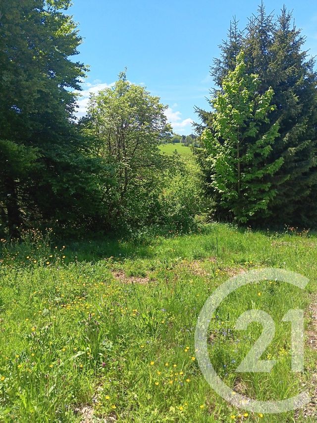 terrain à vendre - 636.0 m2 - METABIEF - 25 - FRANCHE-COMTE - Century 21 Avenir Immobilier