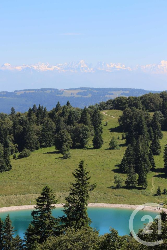 Appartement F2 à vendre - 2 pièces - 42.38 m2 - METABIEF - 25 - FRANCHE-COMTE - Century 21 Avenir Immobilier