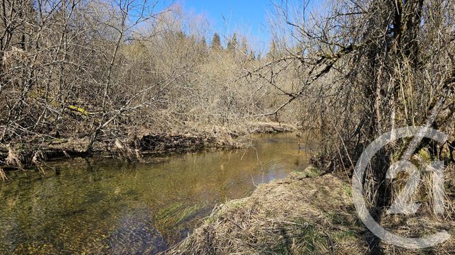 terrain à vendre - 991.0 m2 - VAUX ET CHANTEGRUE - 25 - FRANCHE-COMTE - Century 21 Avenir Immobilier