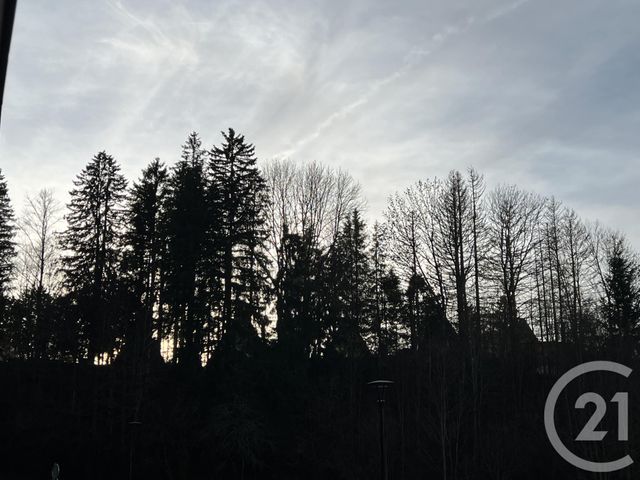 Appartement Studio Cabine à vendre - 1 pièce - 26.44 m2 - METABIEF - 25 - FRANCHE-COMTE - Century 21 Avenir Immobilier