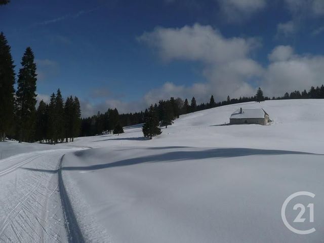 Appartement F1 à louer - 2 pièces - 21.2 m2 - MOUTHE - 25 - FRANCHE-COMTE - Century 21 Avenir Immobilier