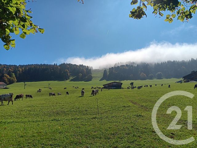 maison à vendre - 7 pièces - 145.0 m2 - JOUGNE - 25 - FRANCHE-COMTE - Century 21 Avenir Immobilier