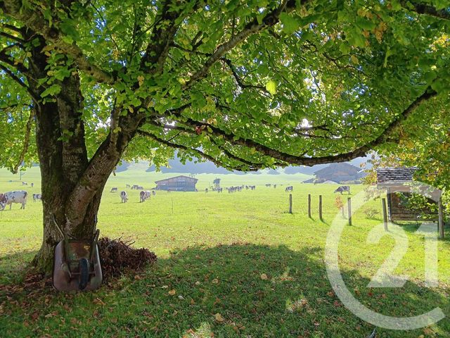 maison - JOUGNE - 25