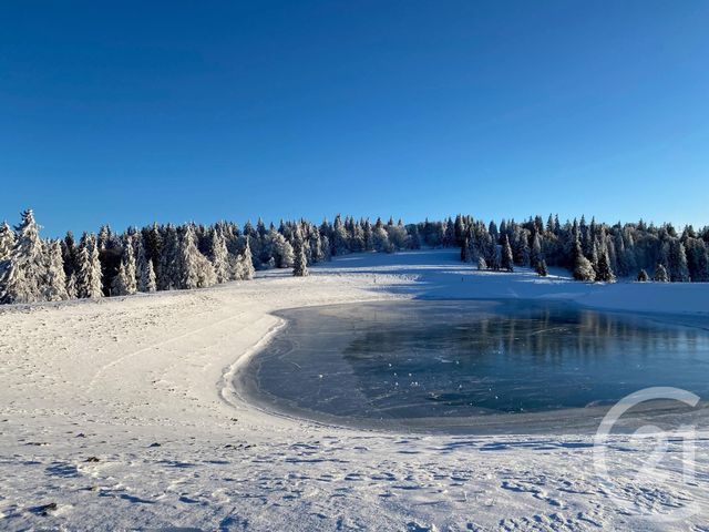 Appartement F3 à vendre - 3 pièces - 73.29 m2 - METABIEF - 25 - FRANCHE-COMTE - Century 21 Avenir Immobilier