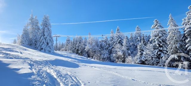 Appartement F1 à vendre - 2 pièces - 37.89 m2 - METABIEF - 25 - FRANCHE-COMTE - Century 21 Avenir Immobilier