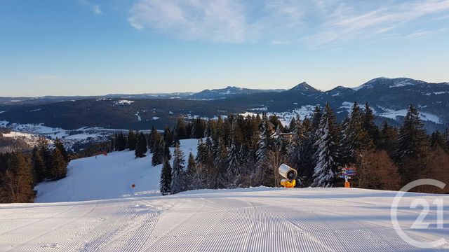 Appartement F1 à vendre - 2 pièces - 15.58 m2 - METABIEF - 25 - FRANCHE-COMTE - Century 21 Avenir Immobilier